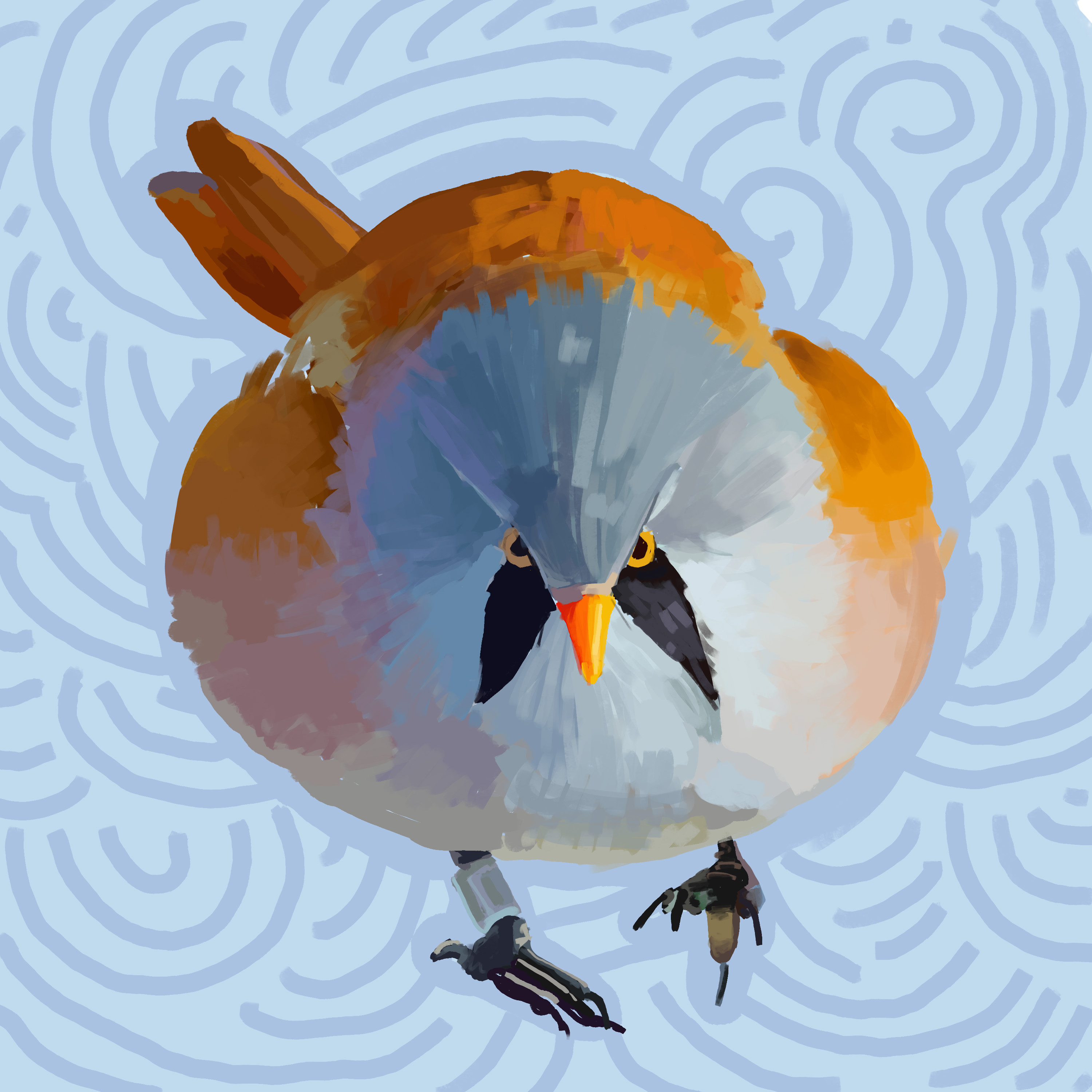 A fluffy bird